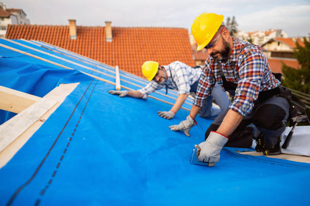 Quick and Trustworthy Emergency Roof Repair Services in Lakeland North, WA