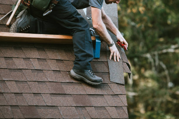 Trusted Lakeland North, WA Roofing Contractor Experts